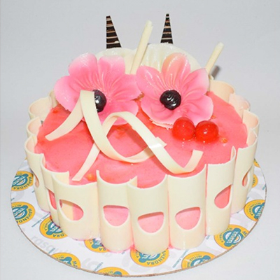 "Dora with Friends  Geometry Bx-135-003 - Click here to View more details about this Product
